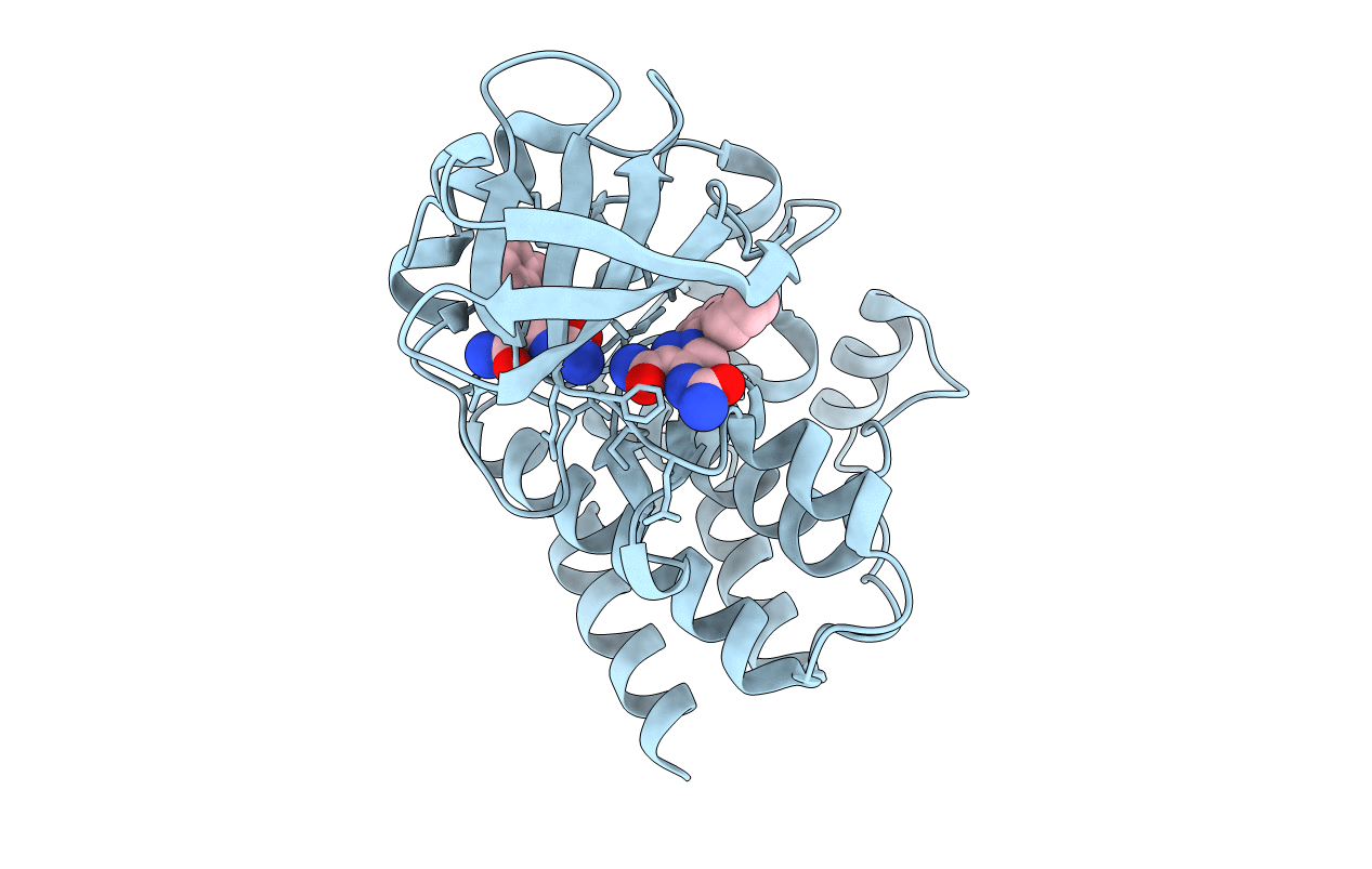 4M0Y image