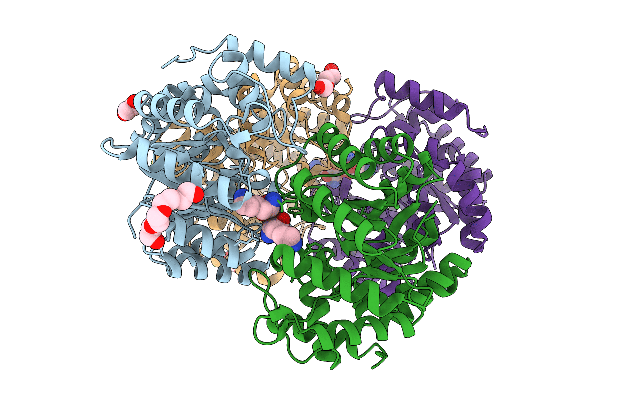 4M19 image