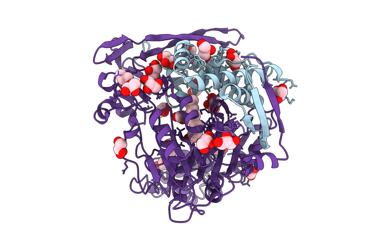 4M1J image
