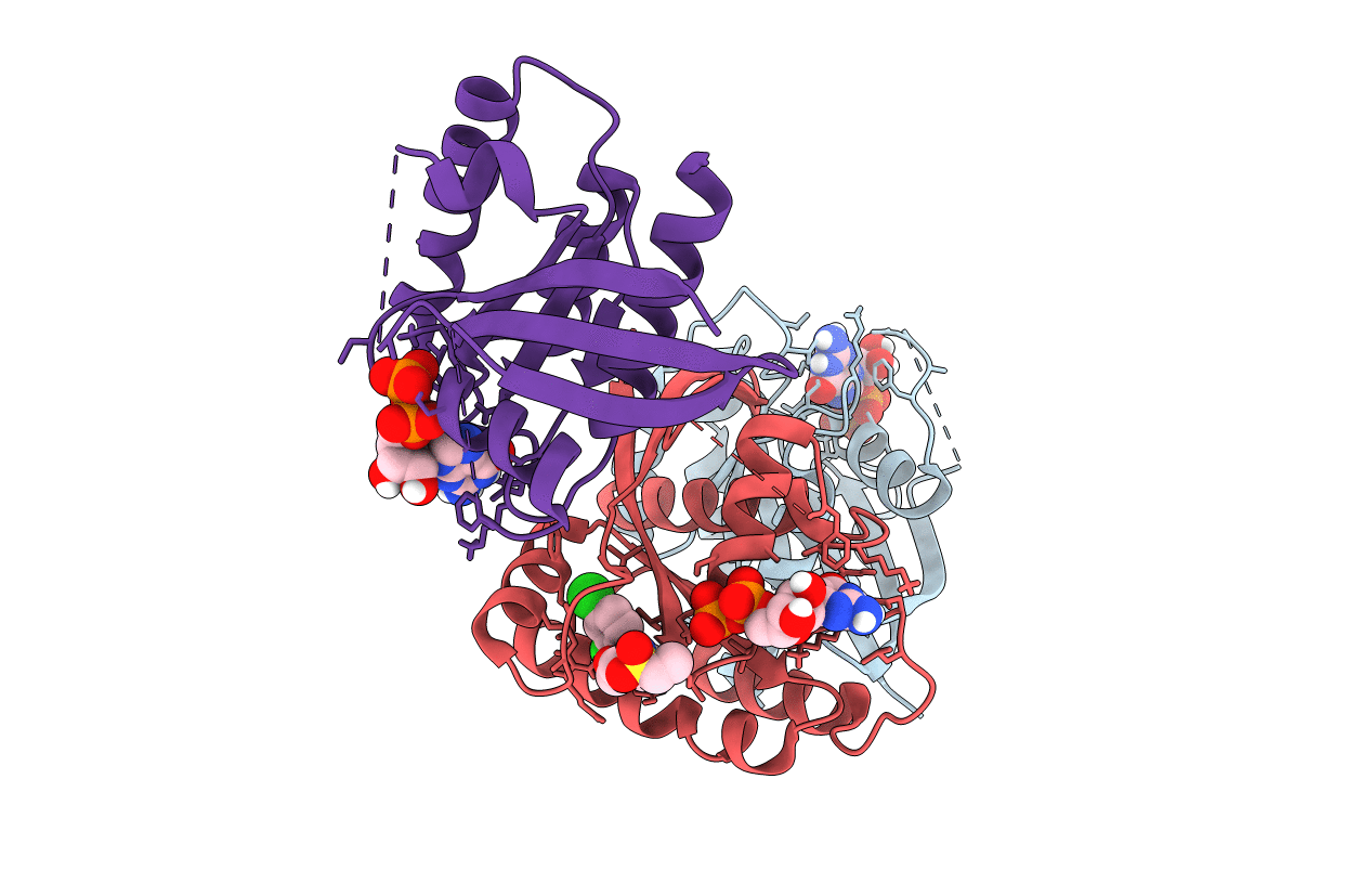 4M1S image