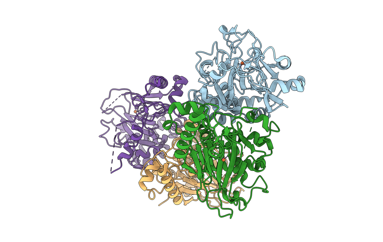 4M2I image