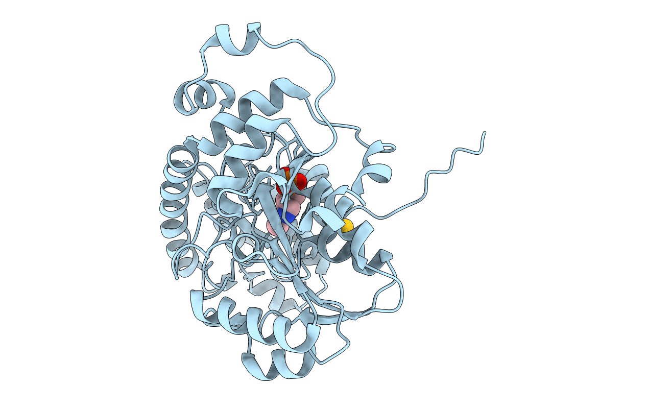 4M2J image
