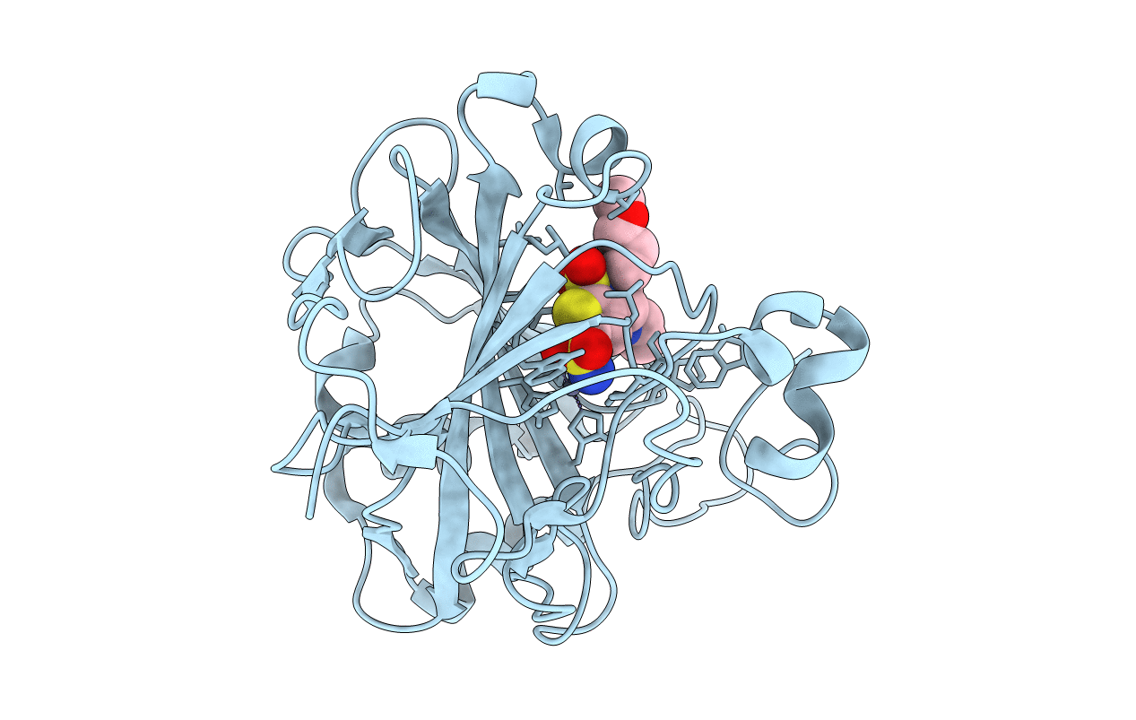 4M2V image