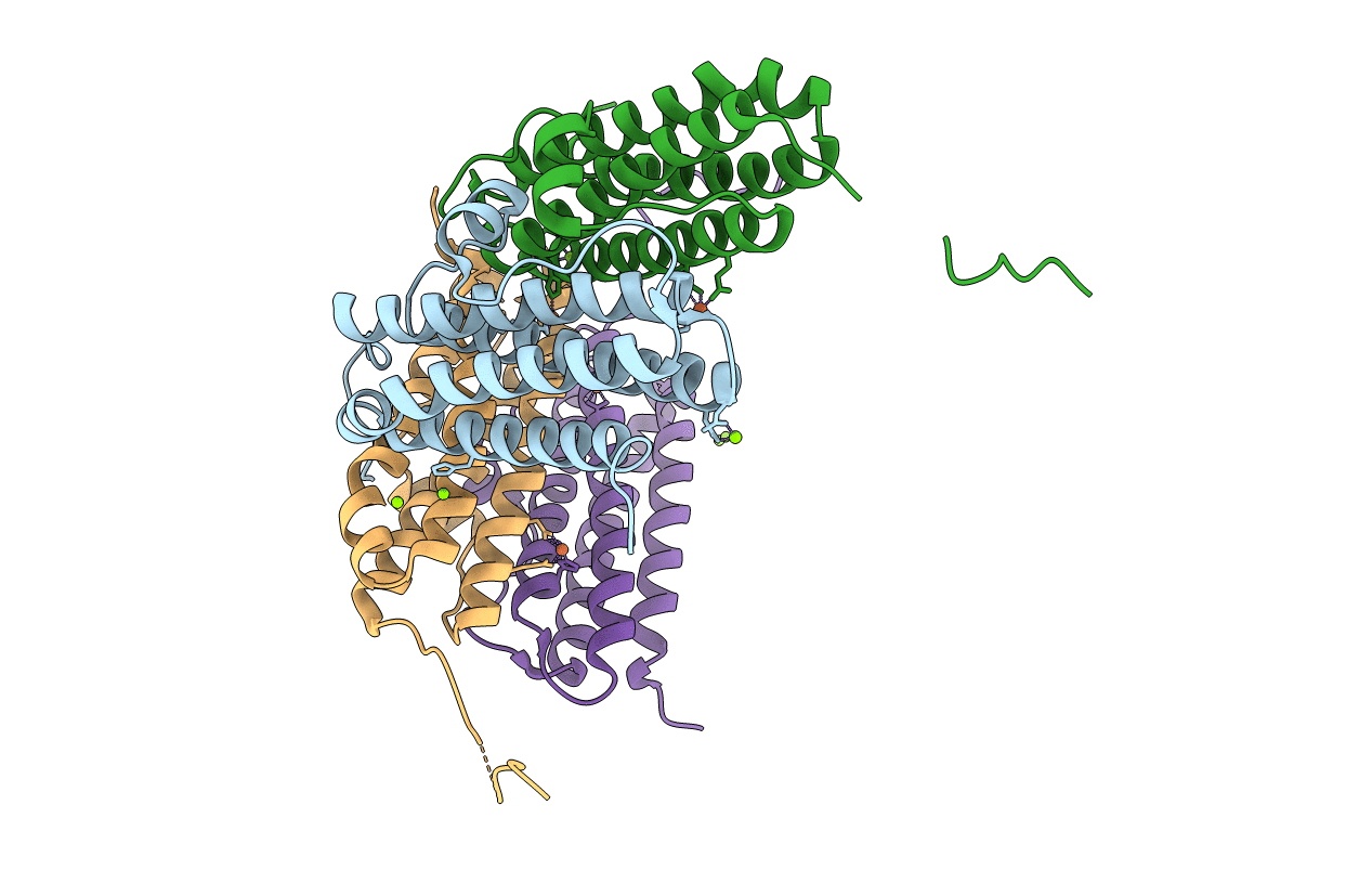 4M34 image