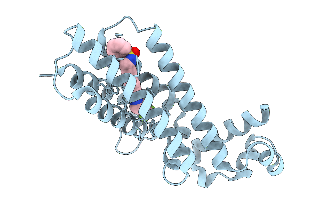 4M3D image