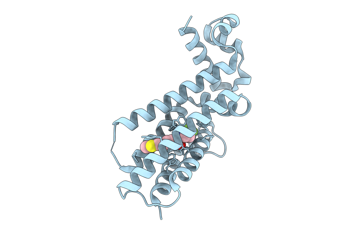 4M3G image