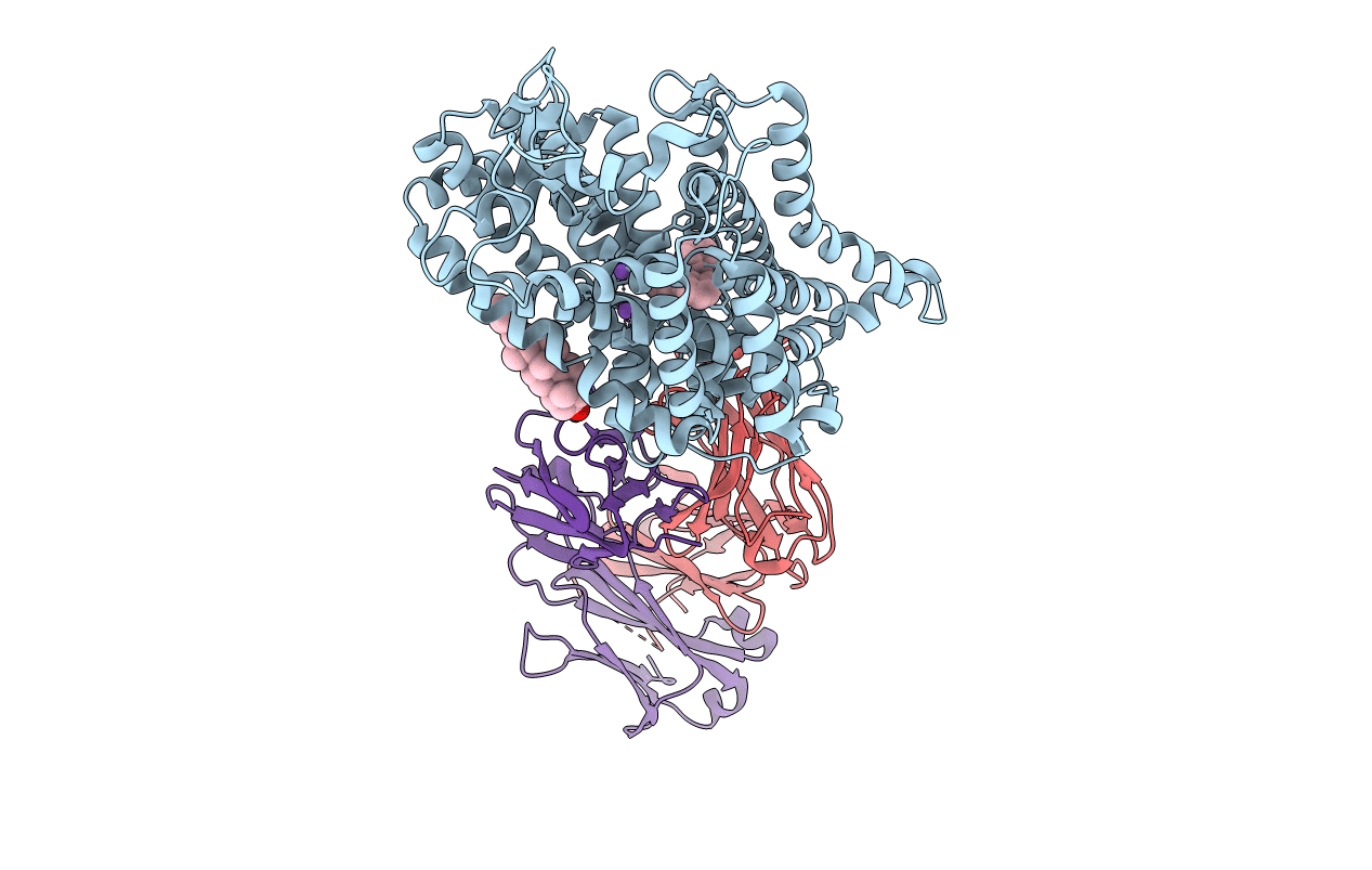 4M48 image