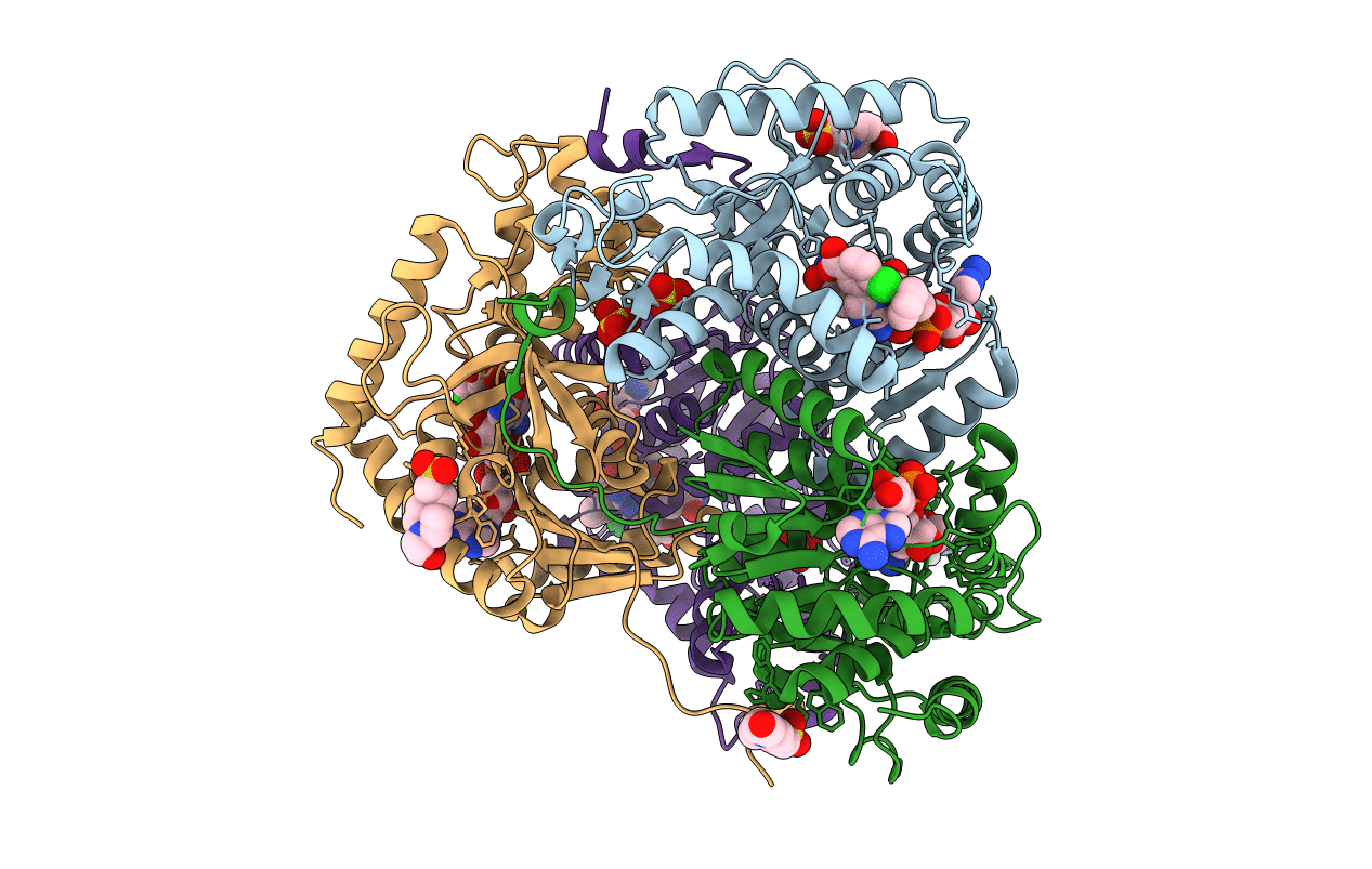 4M49 image