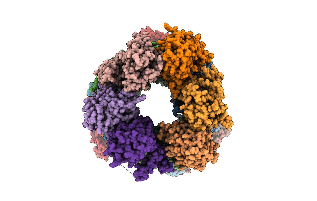4M4W image