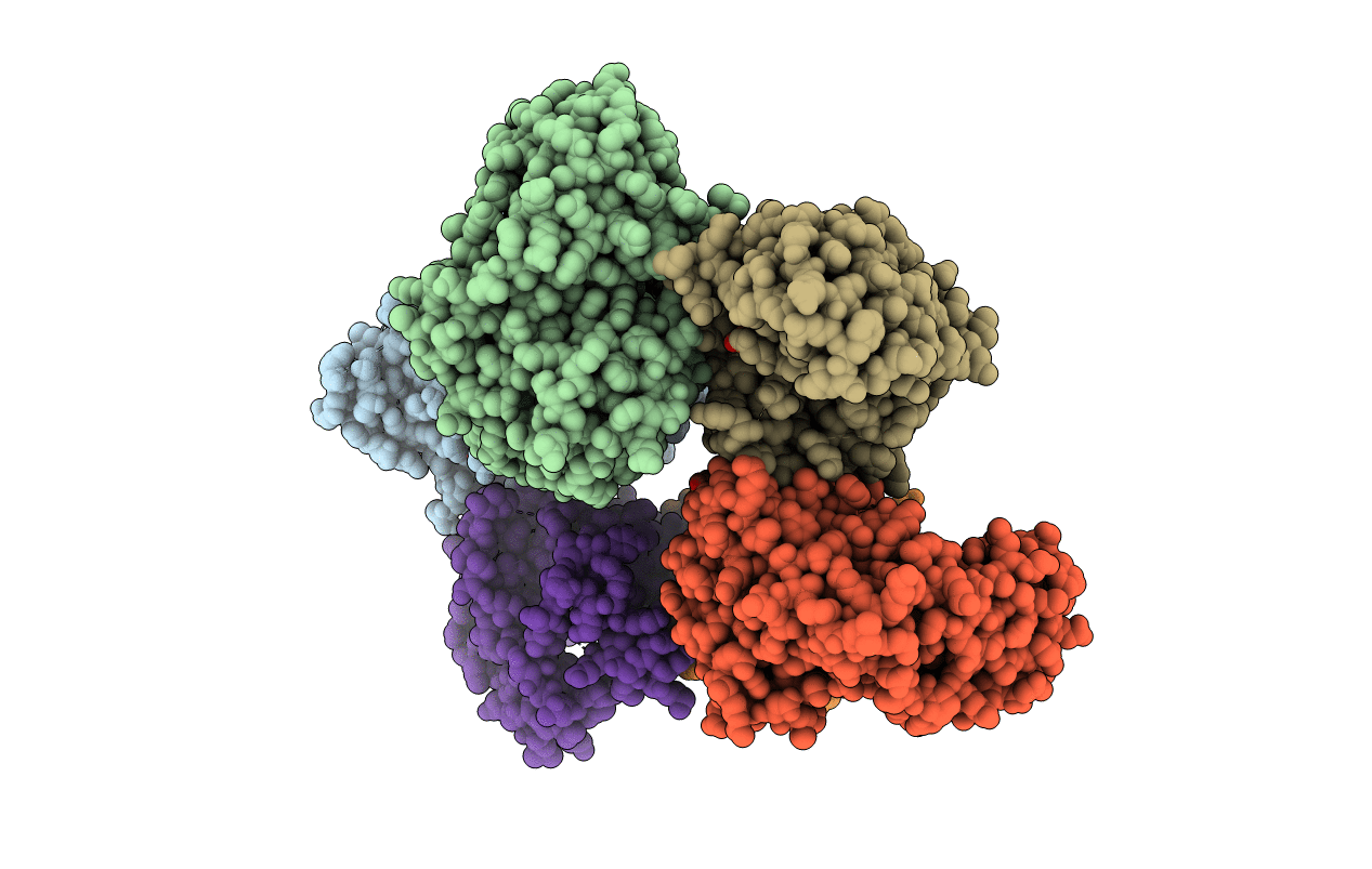 4M55 image