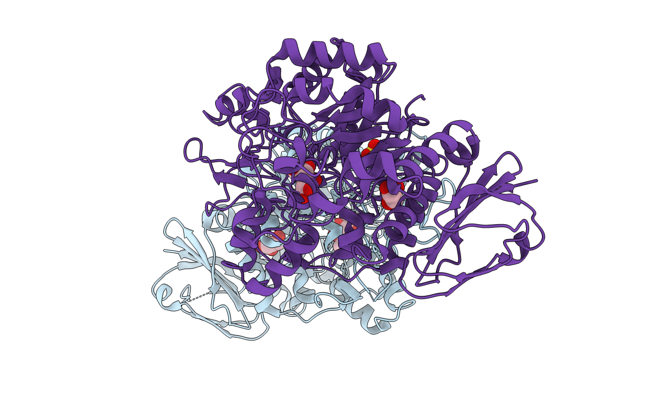 4M56 image