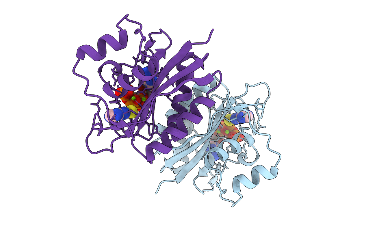 4M5N image