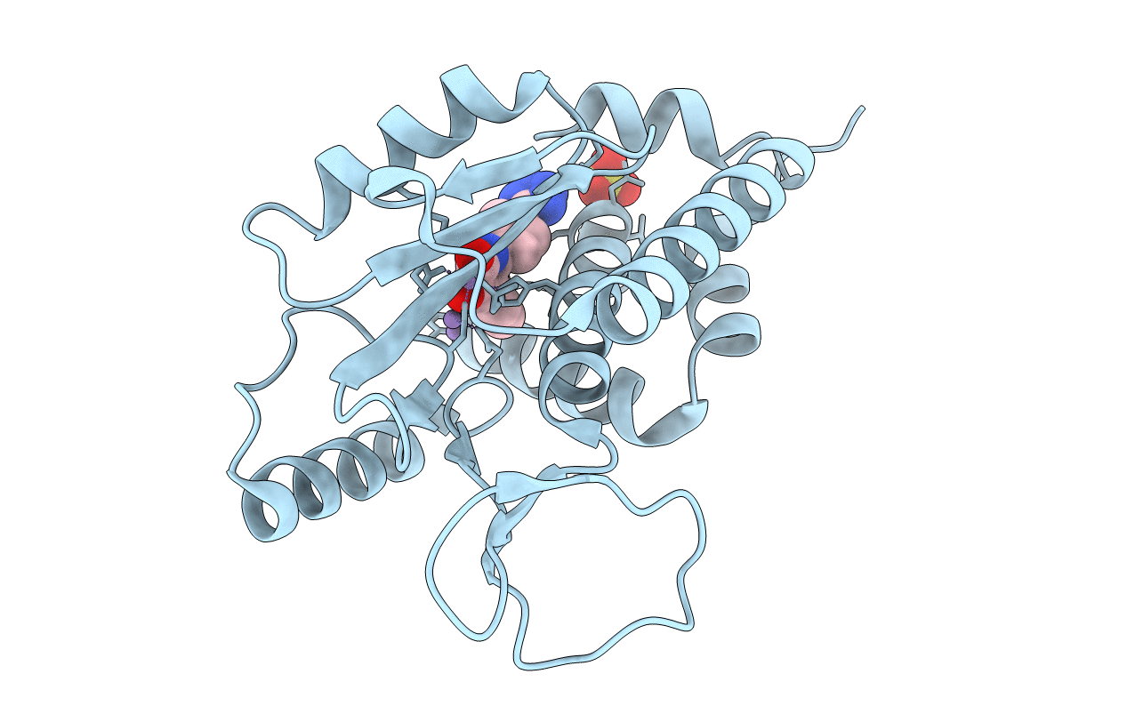 4M5U image