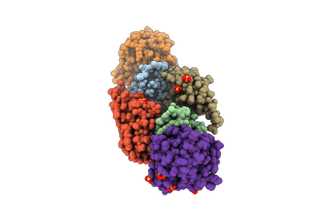 4M62 image