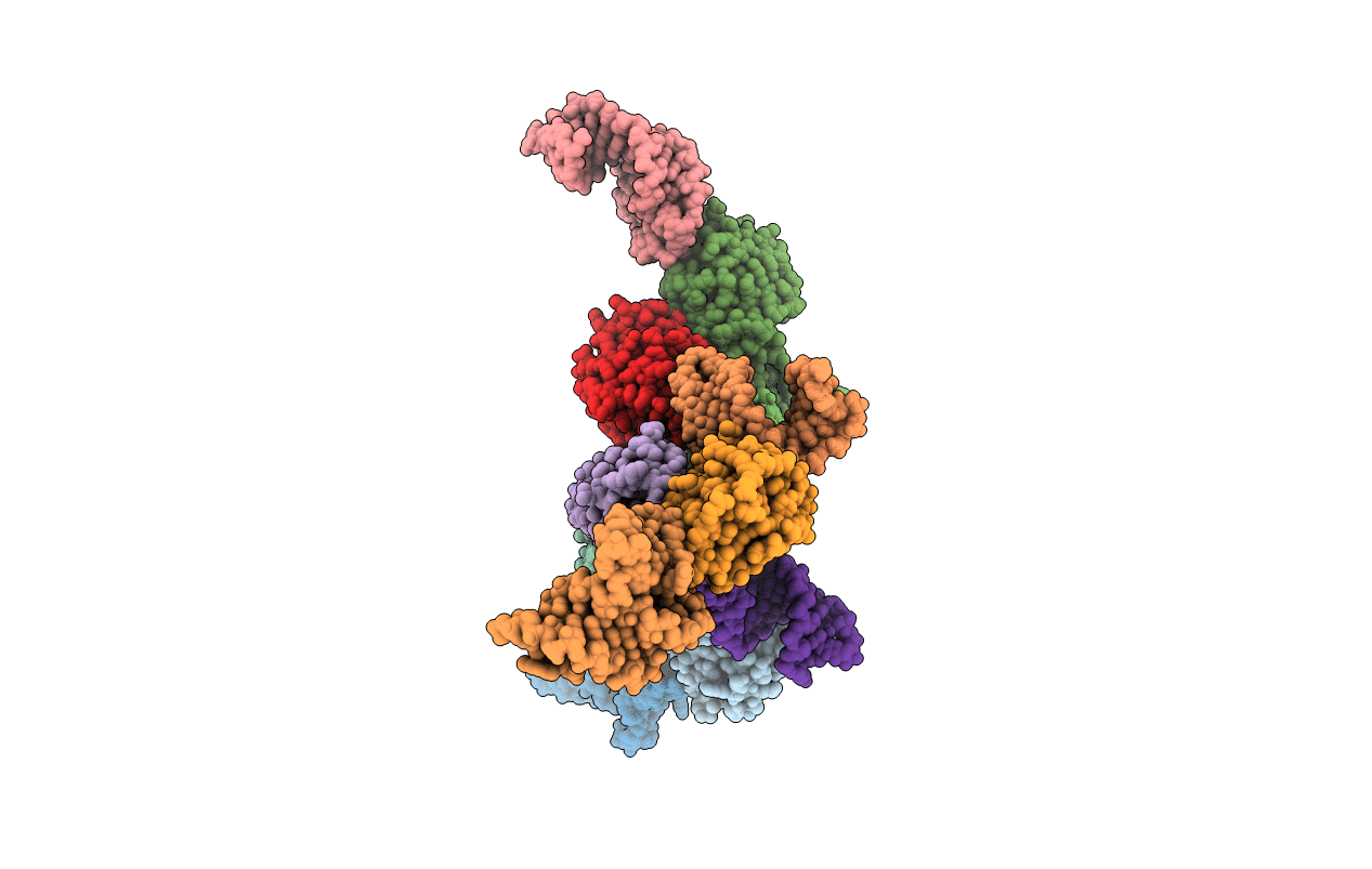 4M6D image