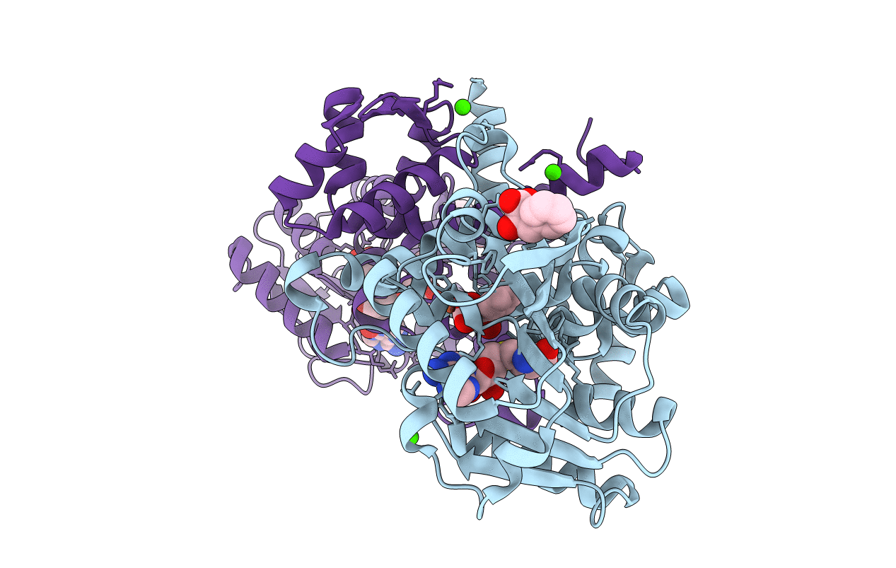 4M74 image
