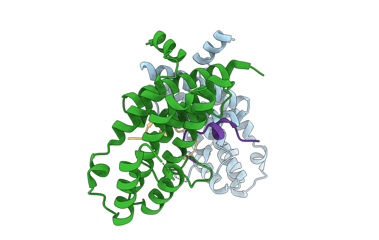 4M7C image