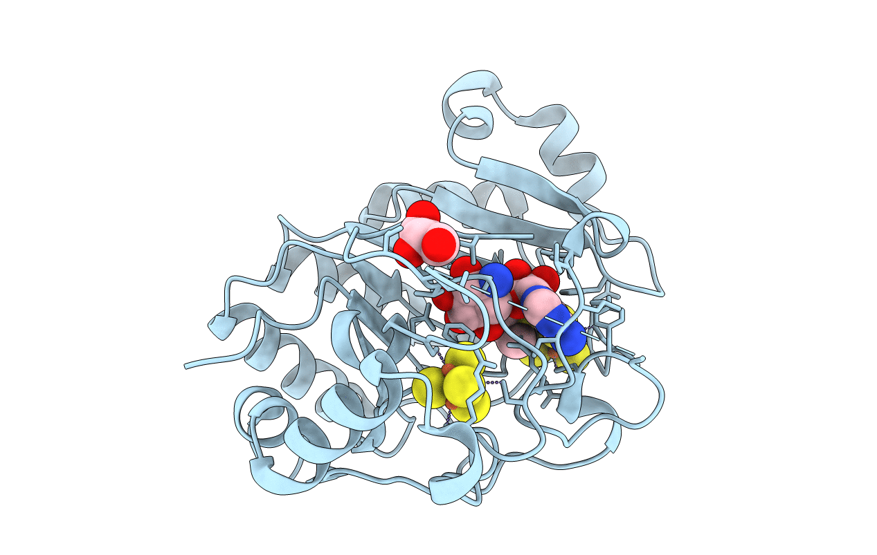 4M7T image