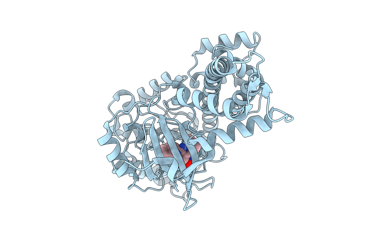 4M84 image