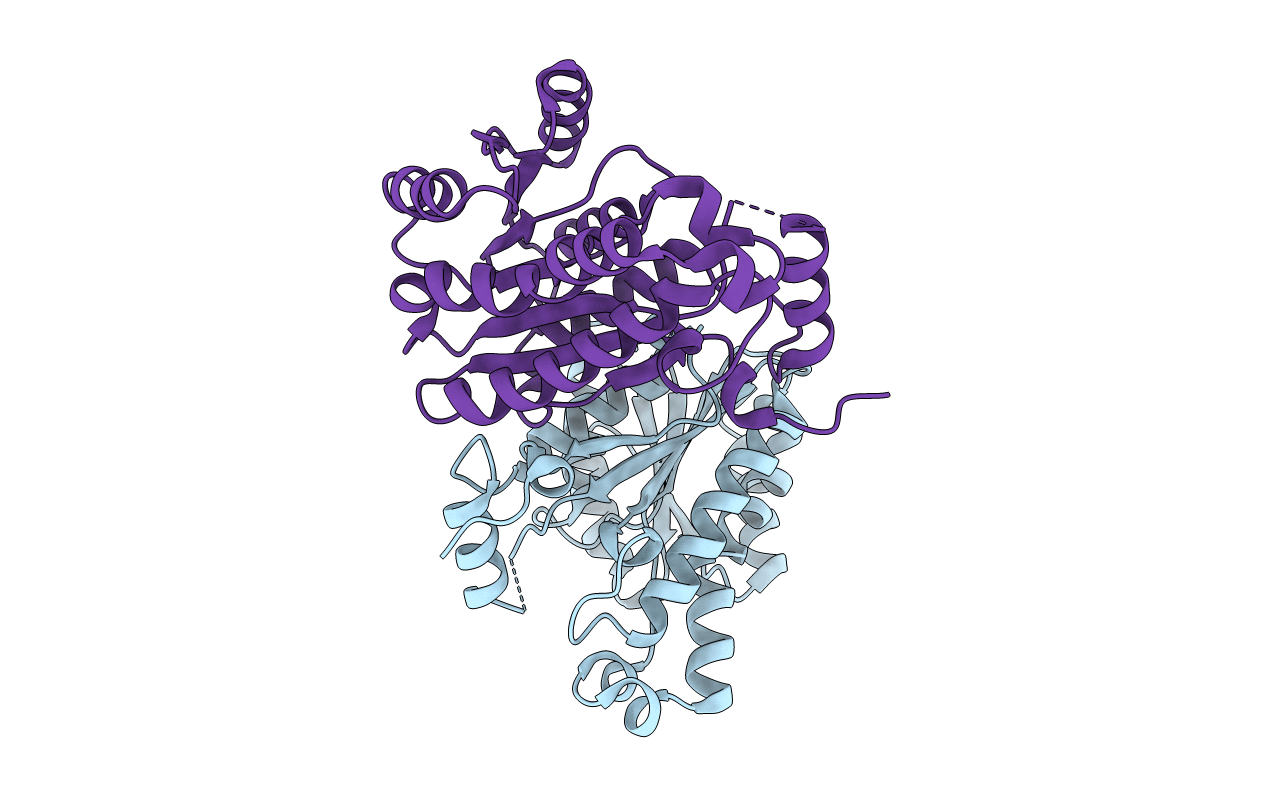 4M86 image