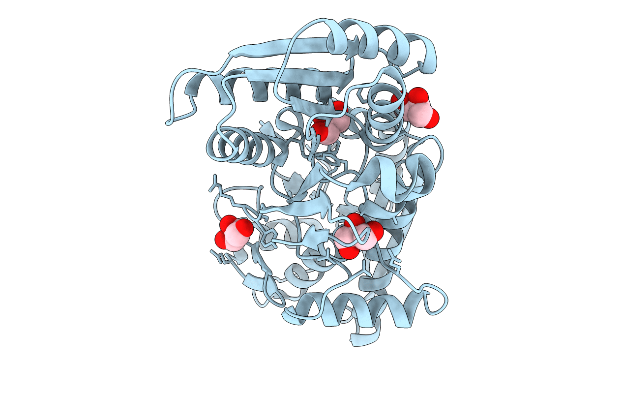 4M88 image