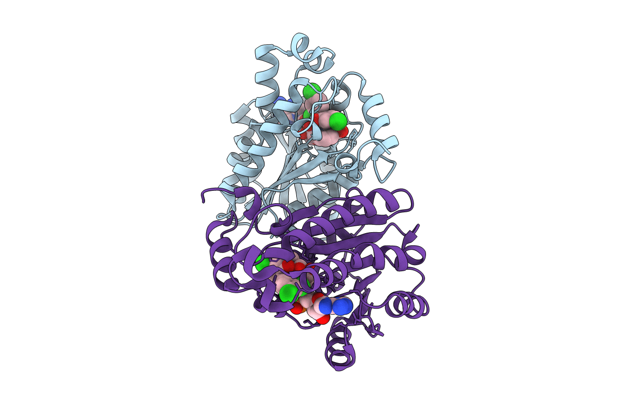 4M89 image