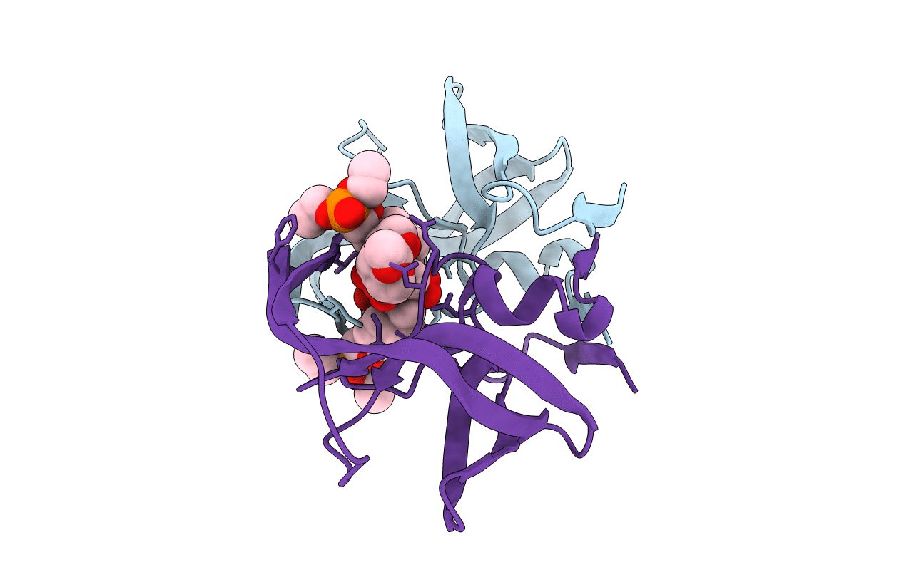 4M8X image