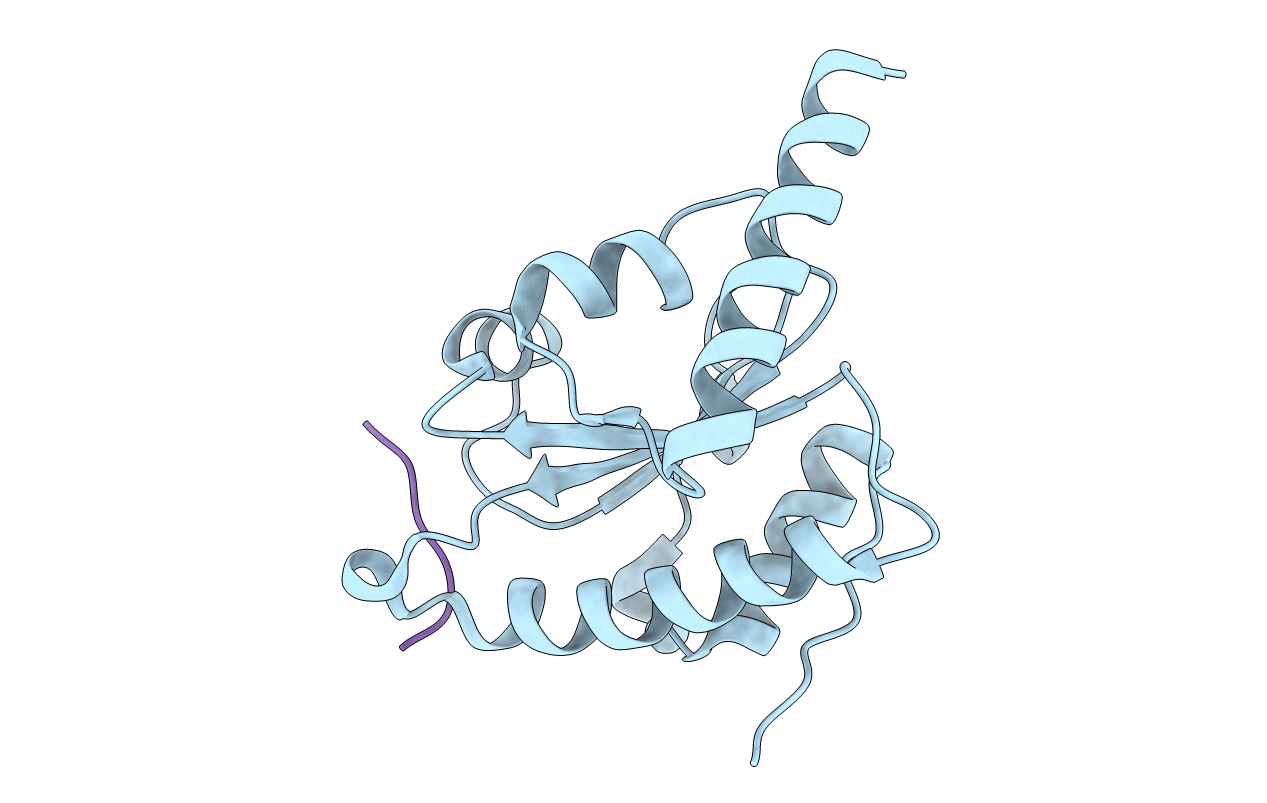 4M91 image