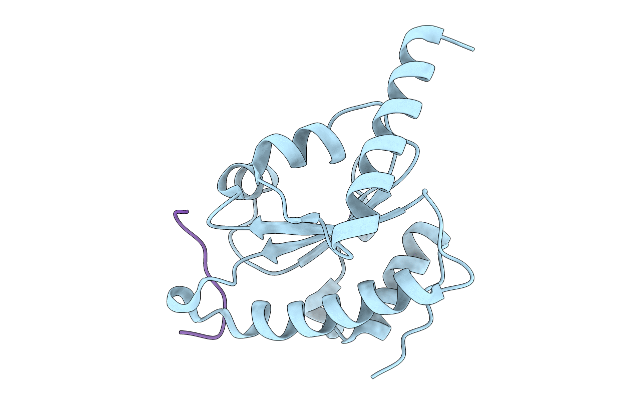 4M92 image
