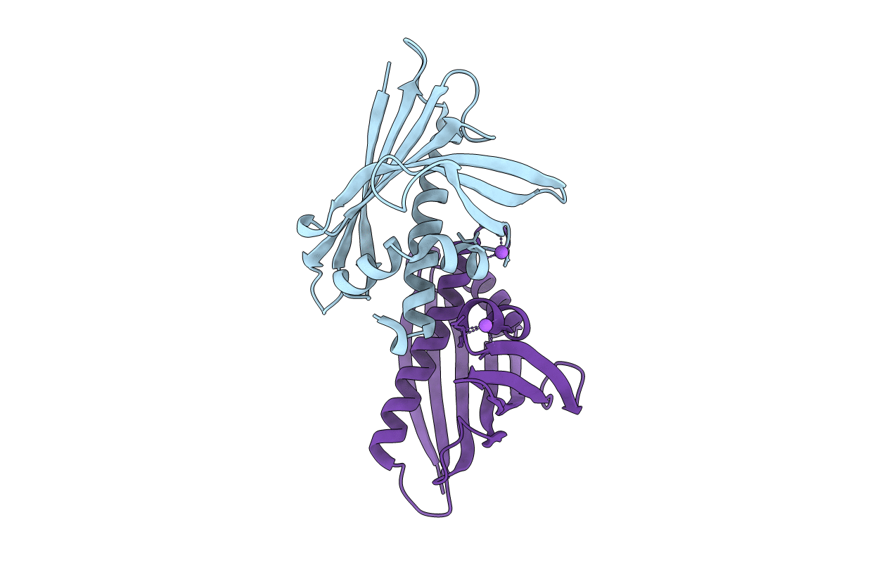 4M9B image