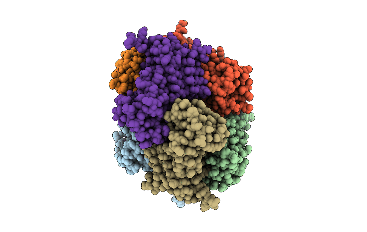 4M9C image