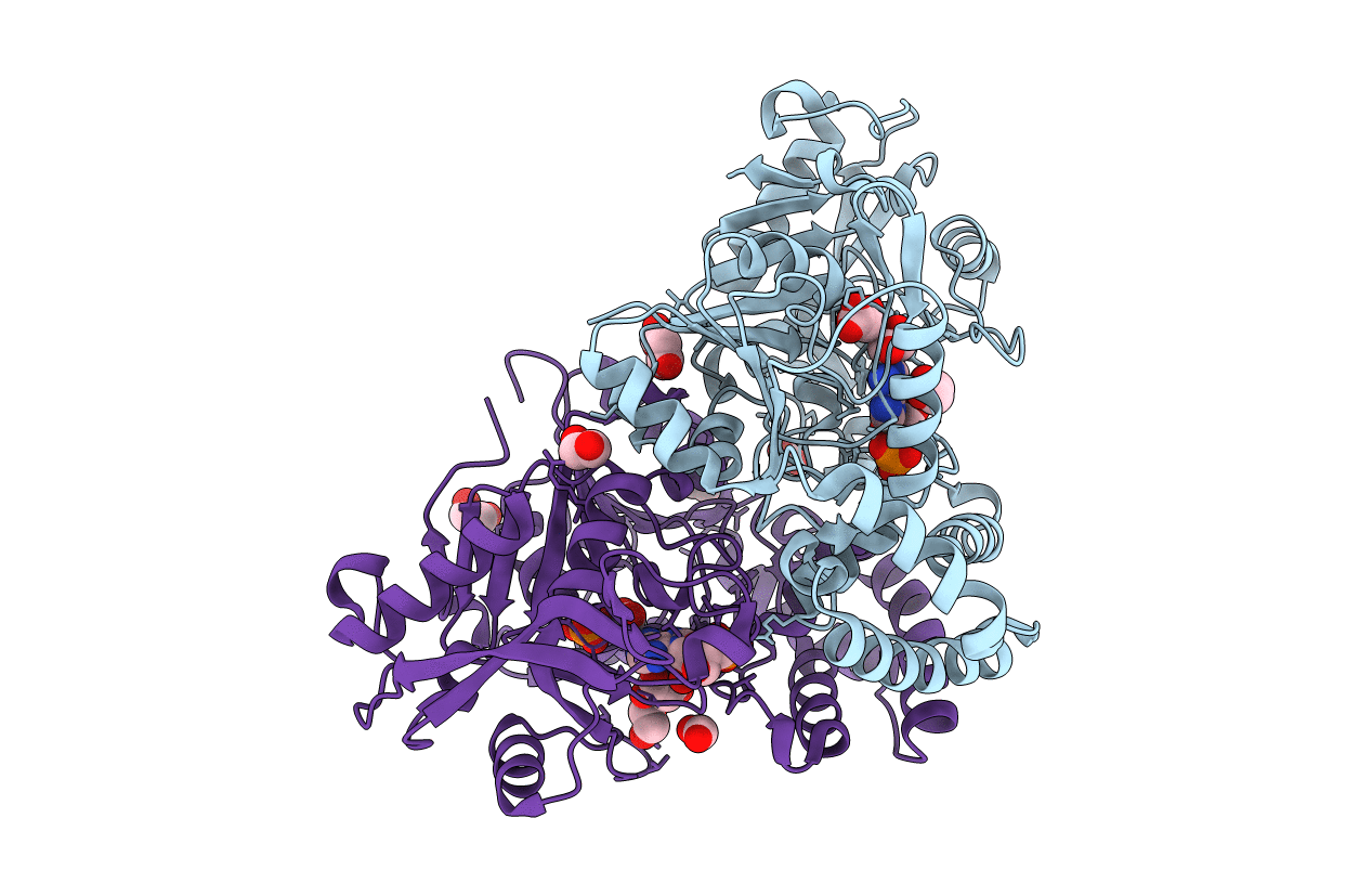 4M9D image
