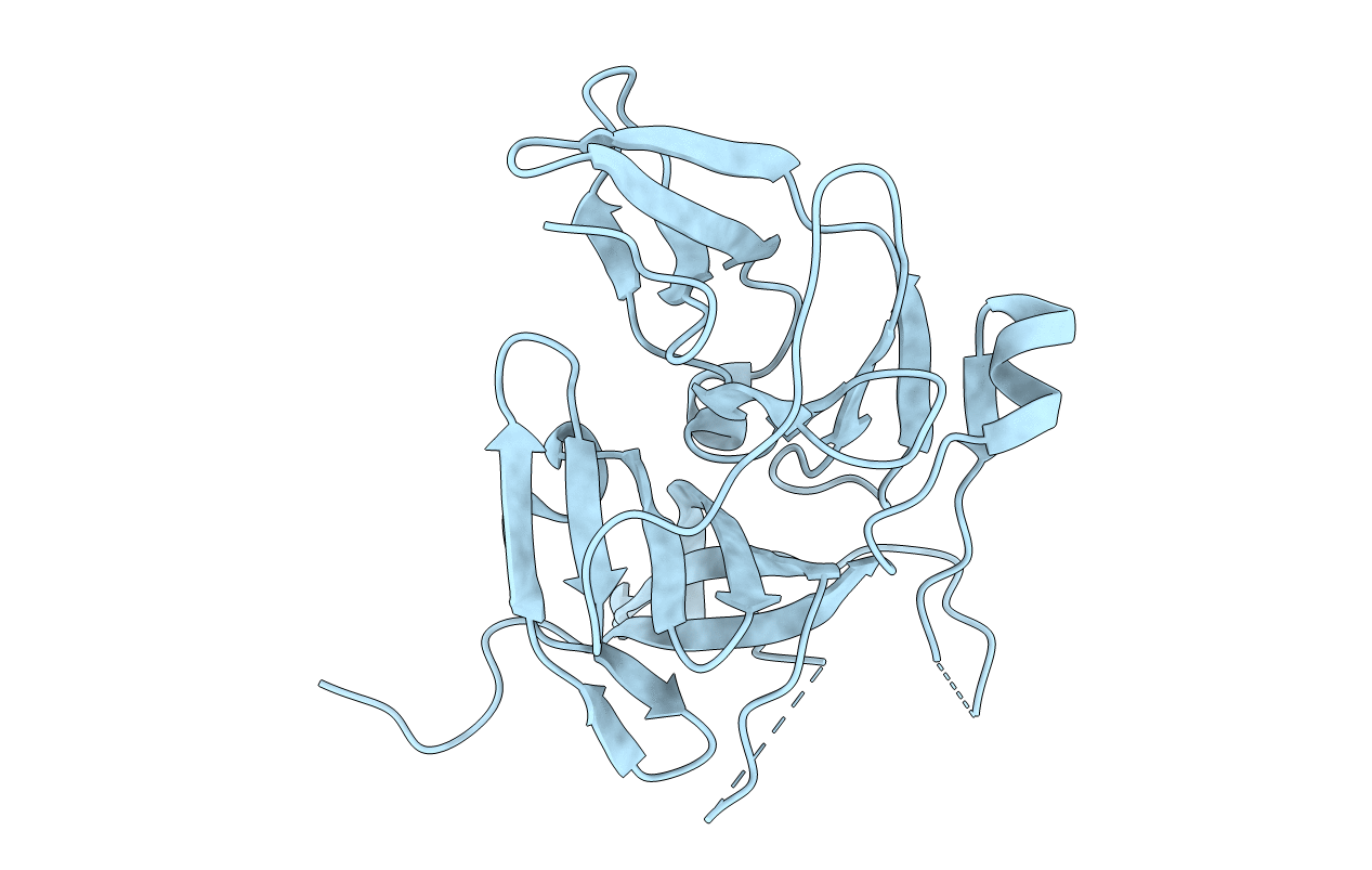 4M9M image
