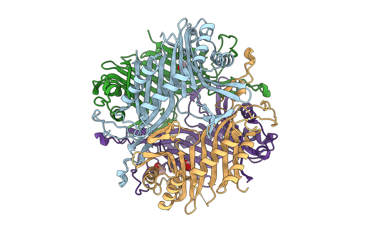 4MB8 image