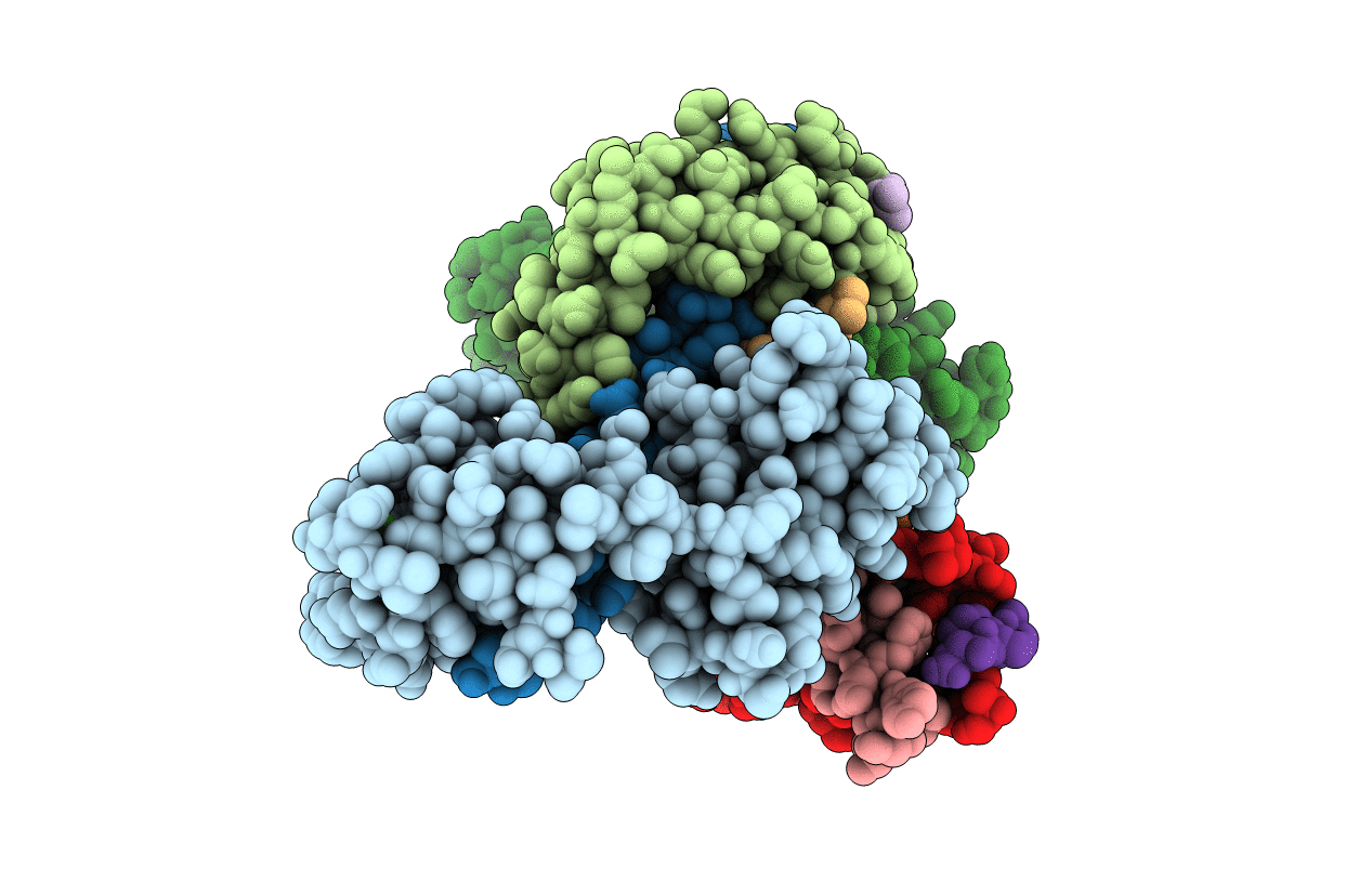4MBE image