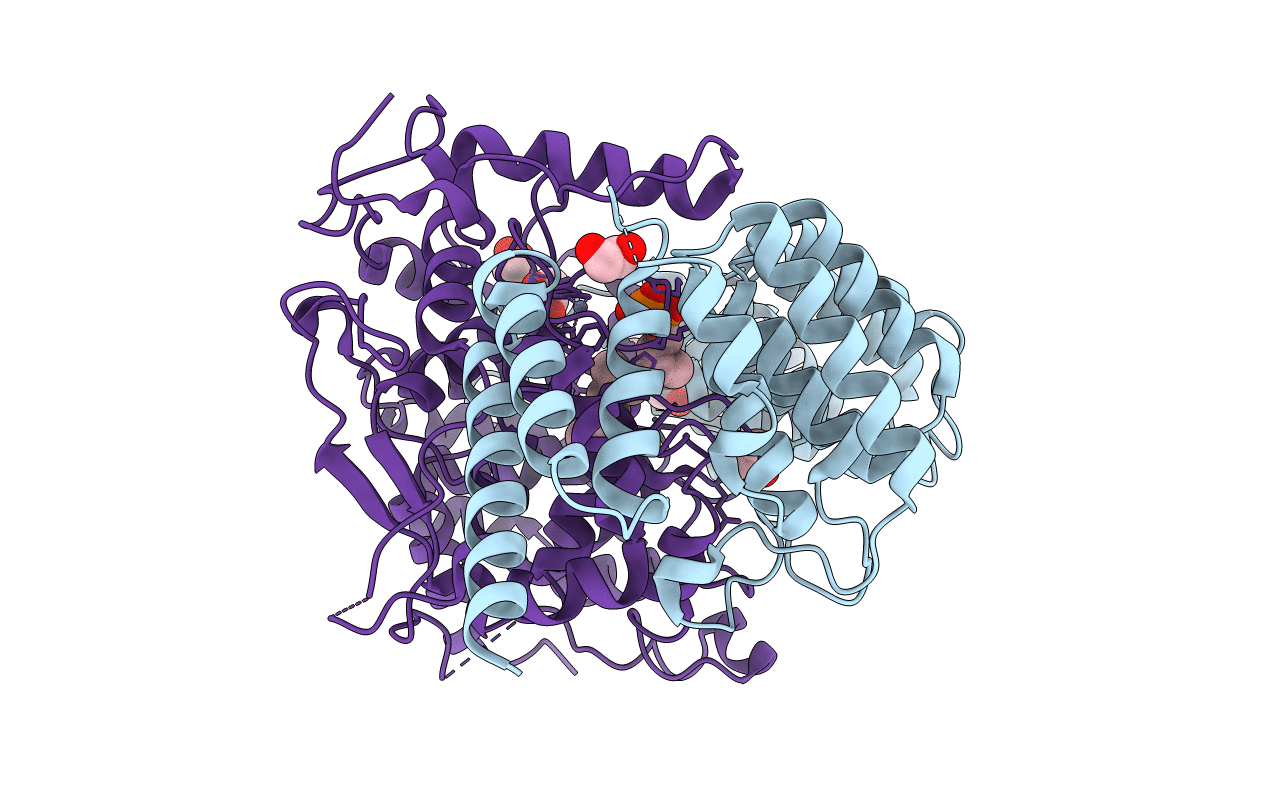 4MBG image