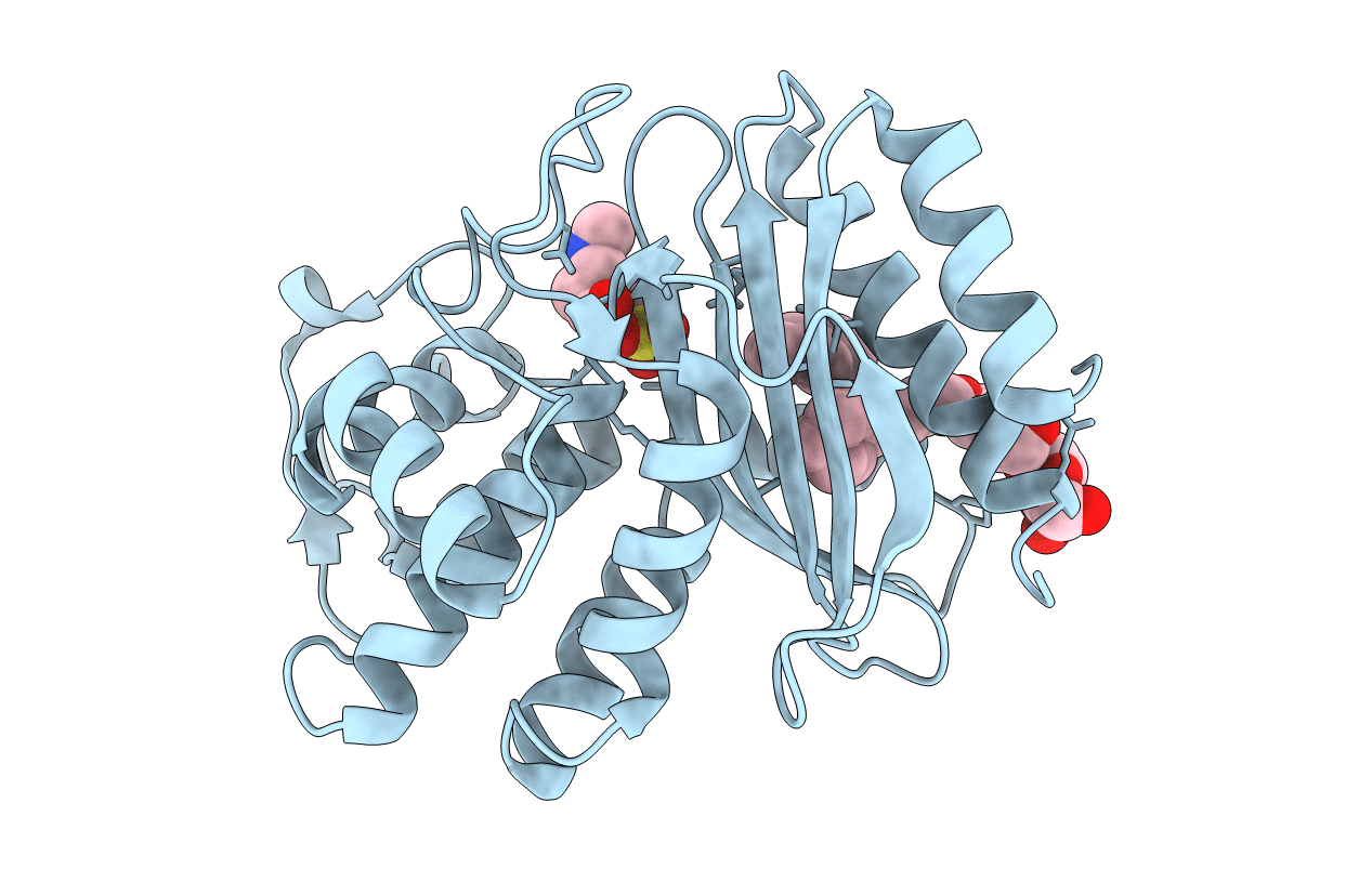4MBH image