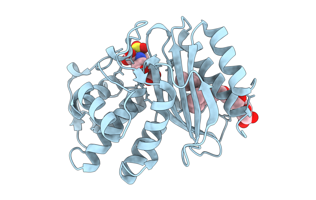 4MBK image