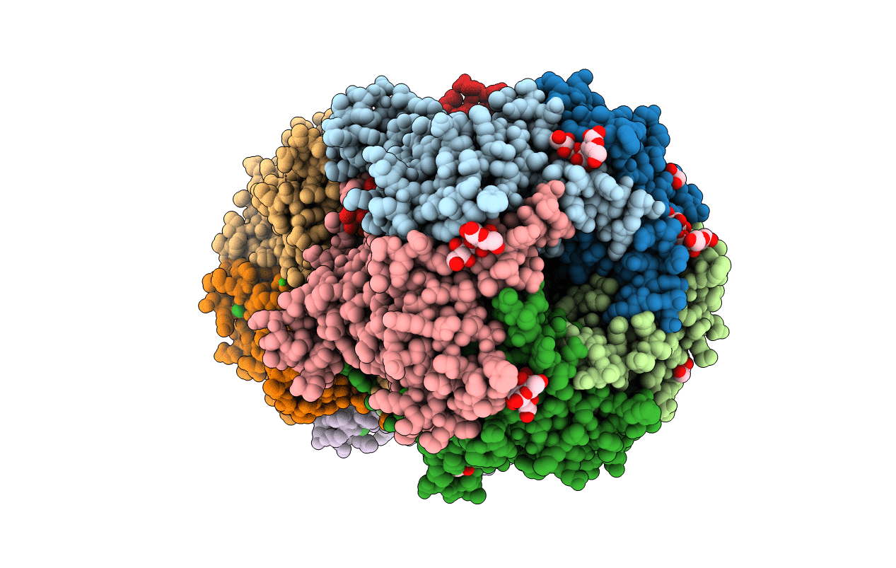 4MBZ image