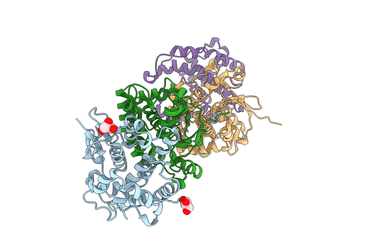 4MDC image