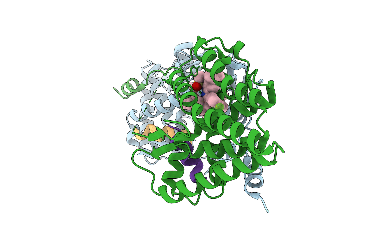 4MDD image