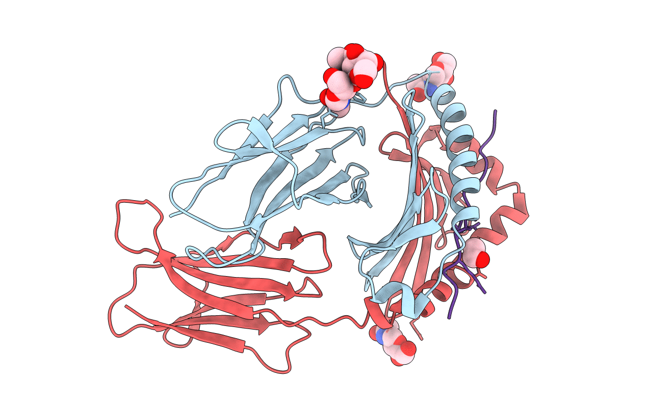 4MDI image