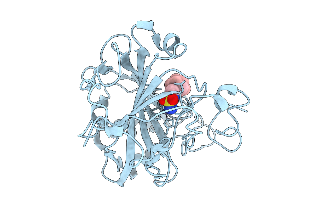 4MDM image