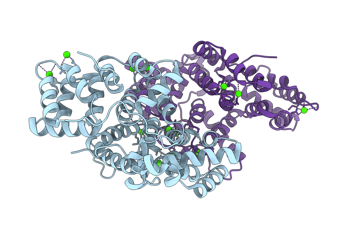 4MDV image