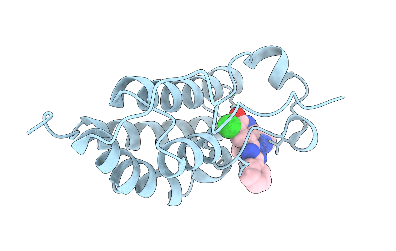 4MEP image