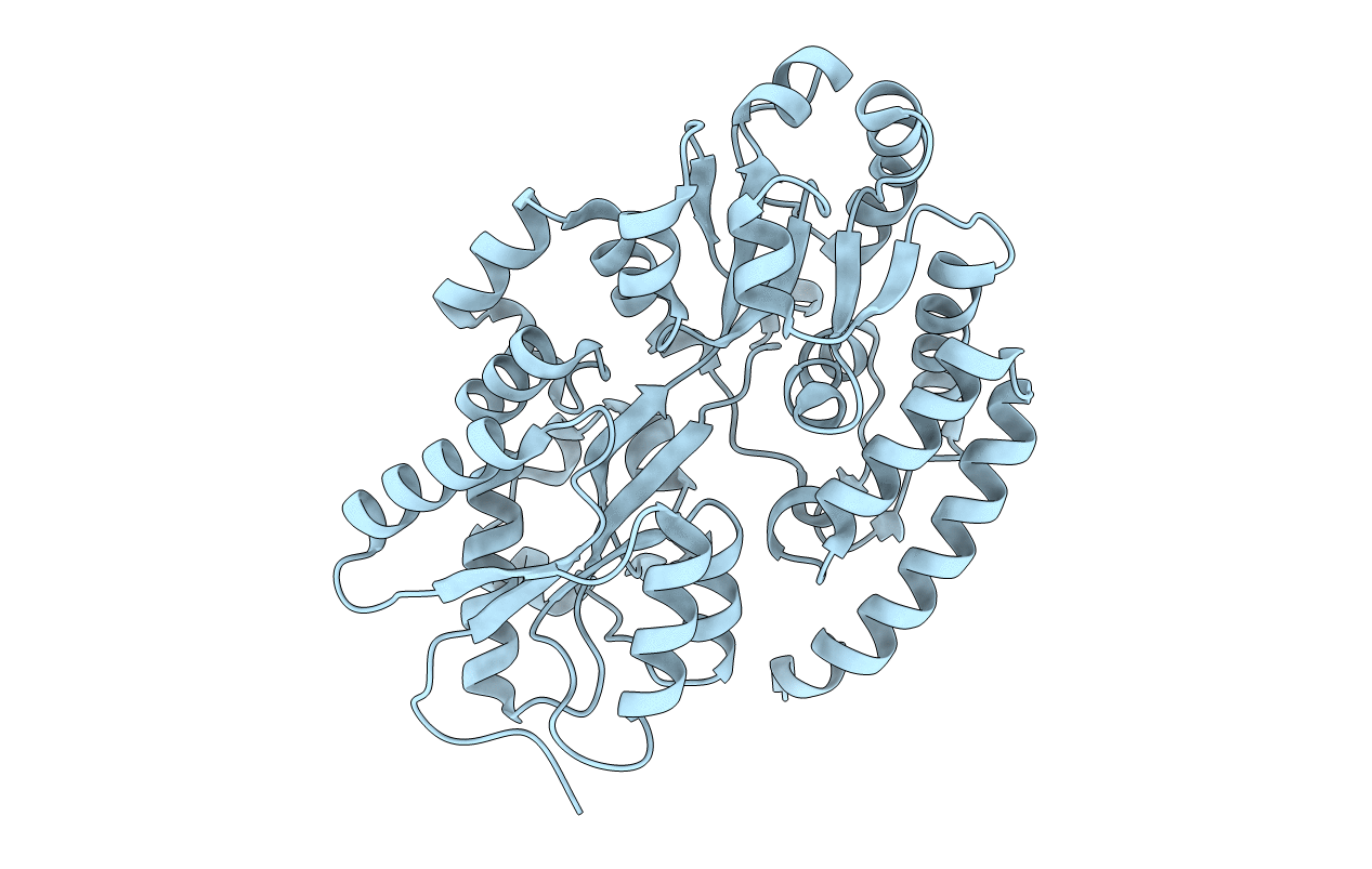 4MFI image