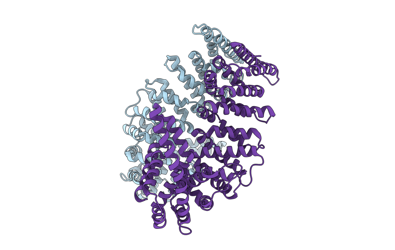 4MFV image