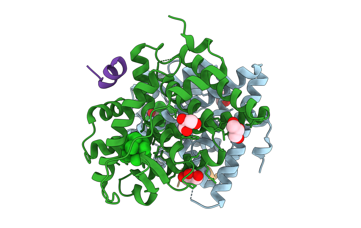 4MG5 image