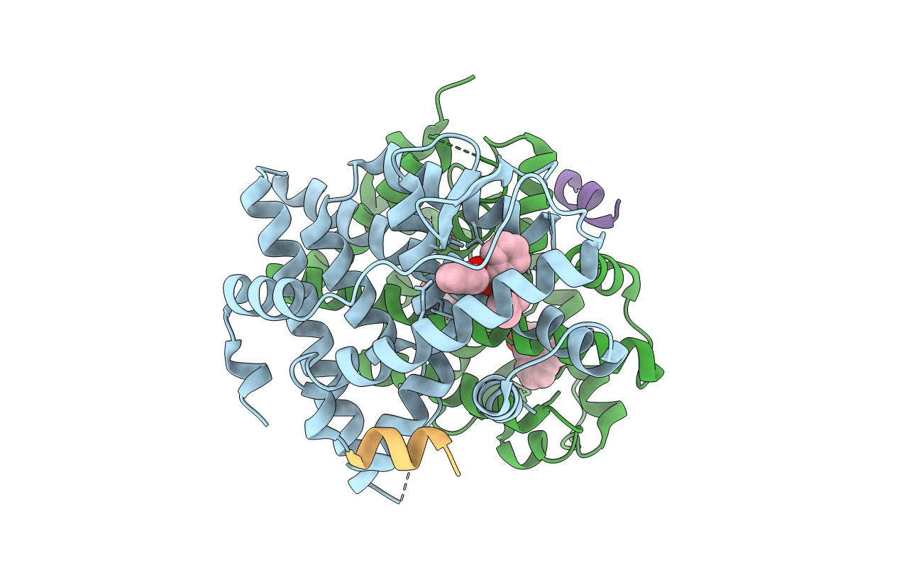 4MG6 image