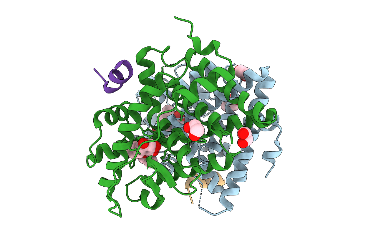 4MG8 image